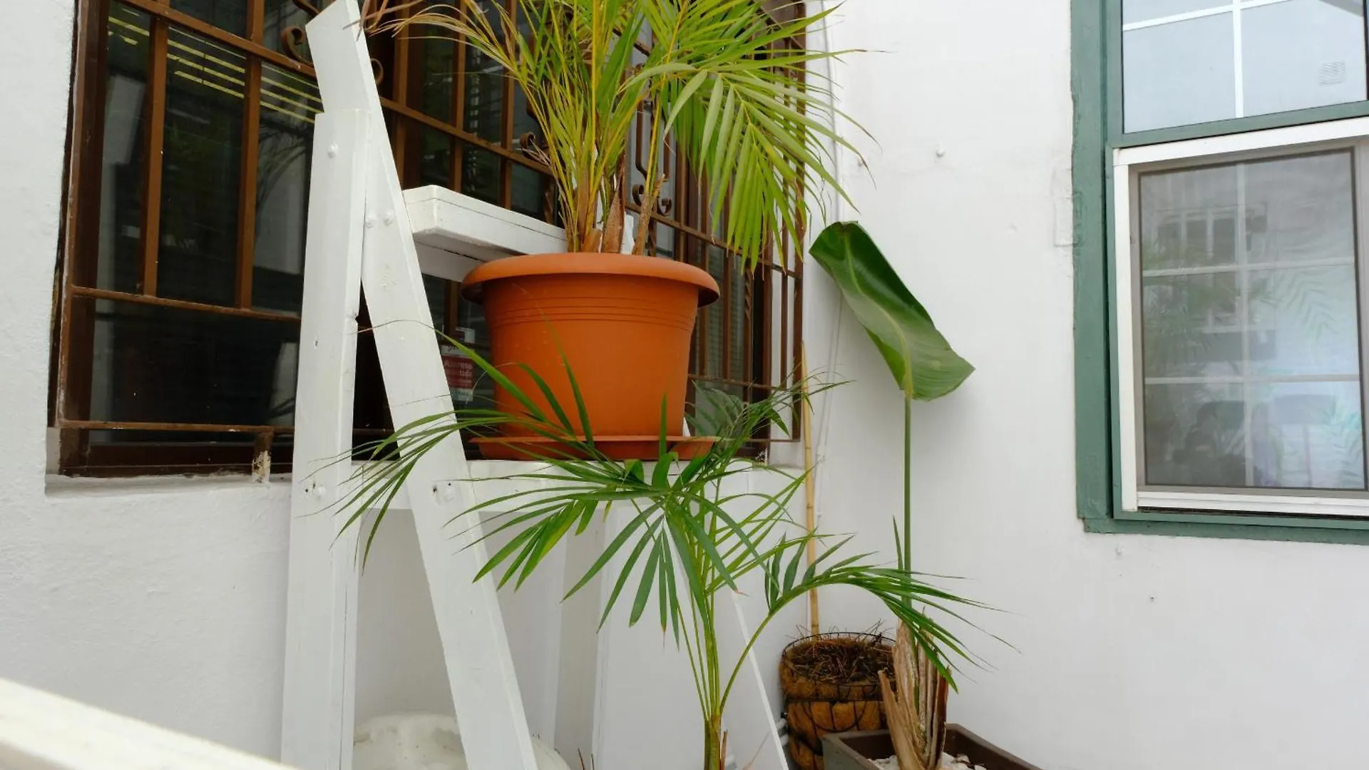 بيت للعطل Rooftop Dreamhouse - 3Br With Seaviews سانتا كروث ذي لا بال